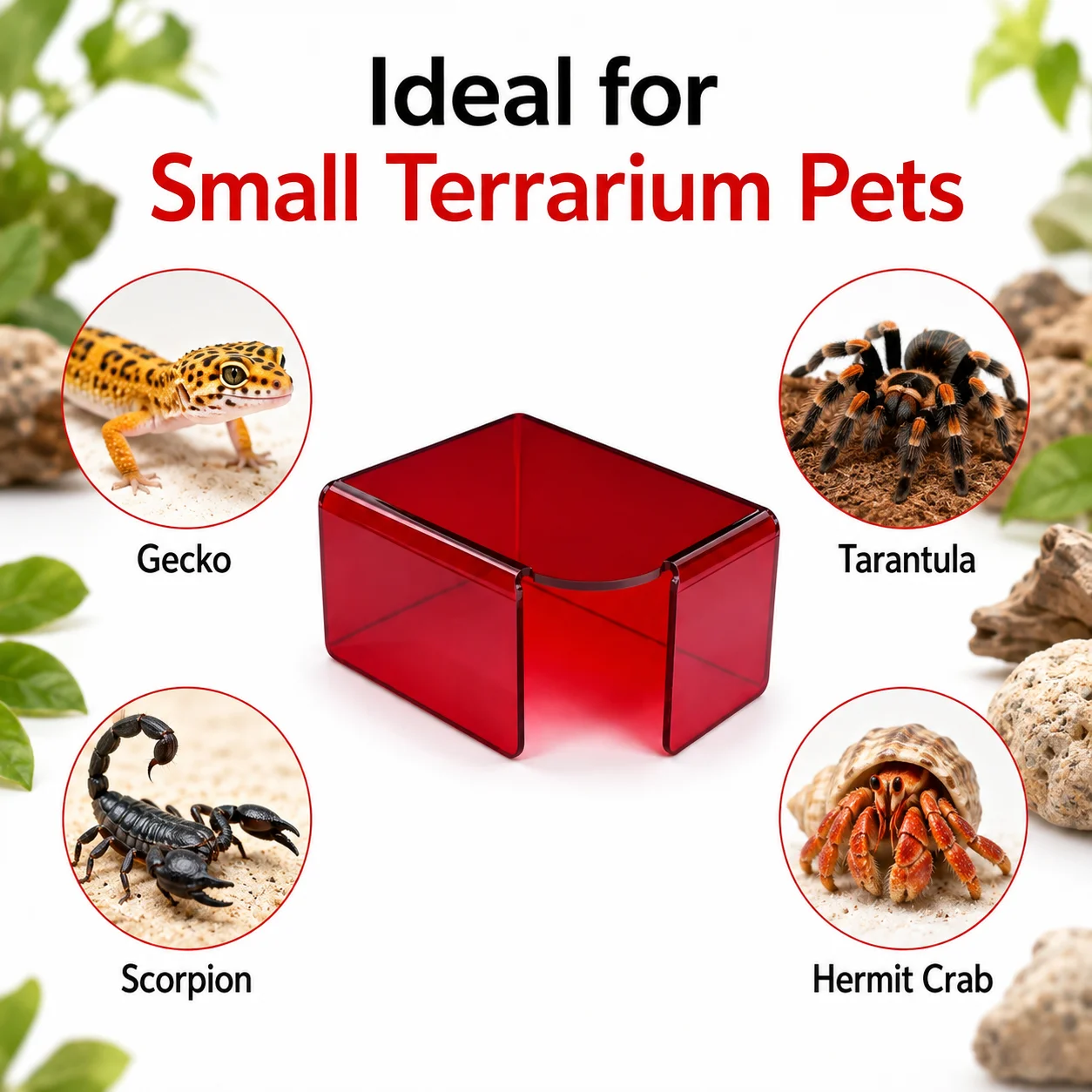 Transparent Acrylic Reptile Hide Cave for Gecko Lizard Tarantula Scorpion Terrarium Shelter Red Clear 3 Sizes