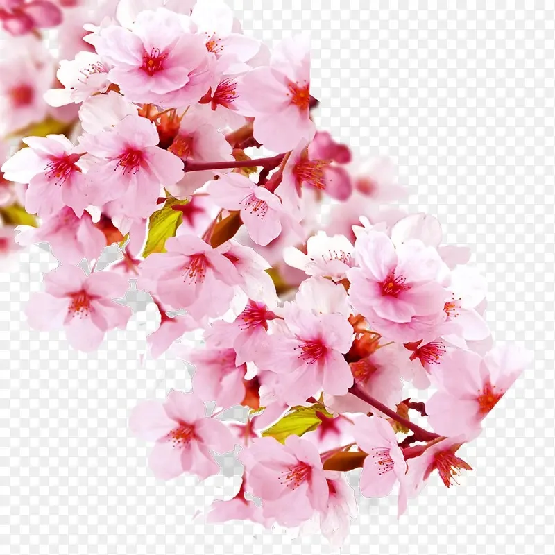 

Передние и задние корпуса осей для WLtoys 1/10 104006 104010 104020 104026, металлические детали для модернизации радиоуправляемых моделей краулеров, грузовиков, багги