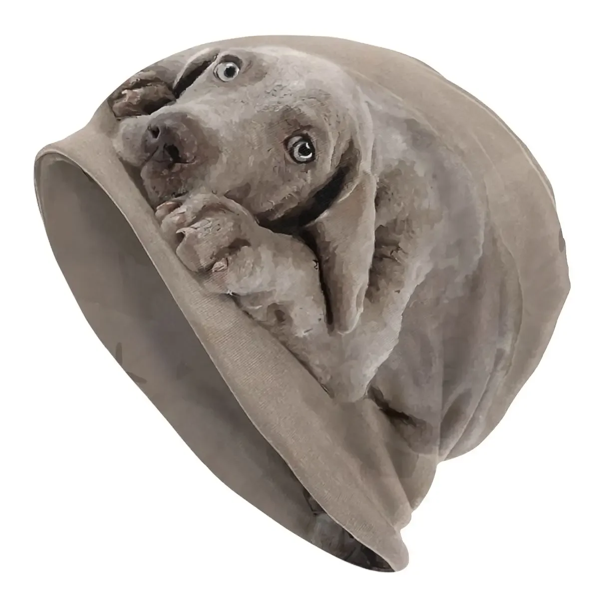 Bonnet Hats Men Women's Thin Skullies Beanies Hat Weimaraner Puppy Autumn Spring Warm Cap Street Caps