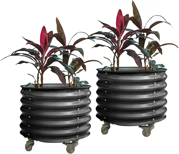 مجموعات سرير الحديقة المرتفعة ذاتية السقي لزراعة الحمضيات، عبوة مزدوجة - رمادي حديث