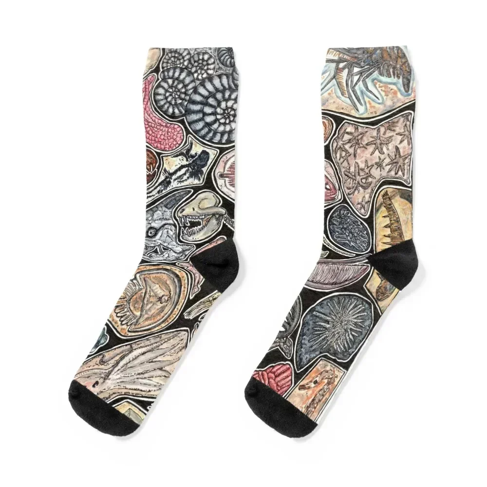 Fossils for history, dinosaur and archaeology lovers Socks Climbing Children's christmass gift Men's Socks Women's