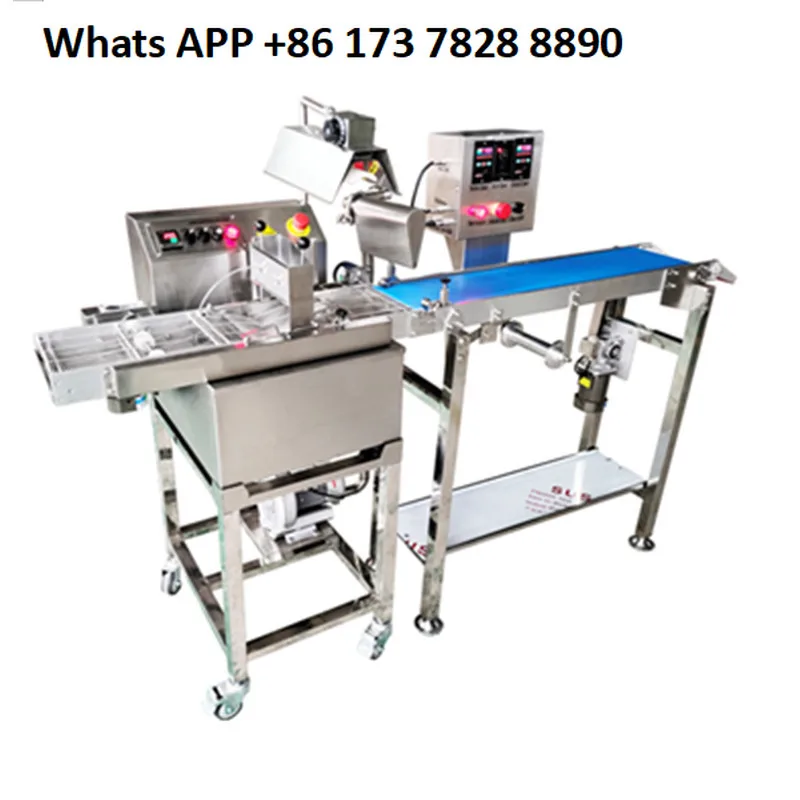 Automatic chocolate melting insulation sizing machine Automatic chocolate pouring coating machine Production line equipment