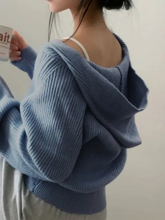 Fashionable Zipper Hoodie Chic Knitwear Casual Street Style Spring Autumn Winter Women's Sweater School Travel Date Daily Life