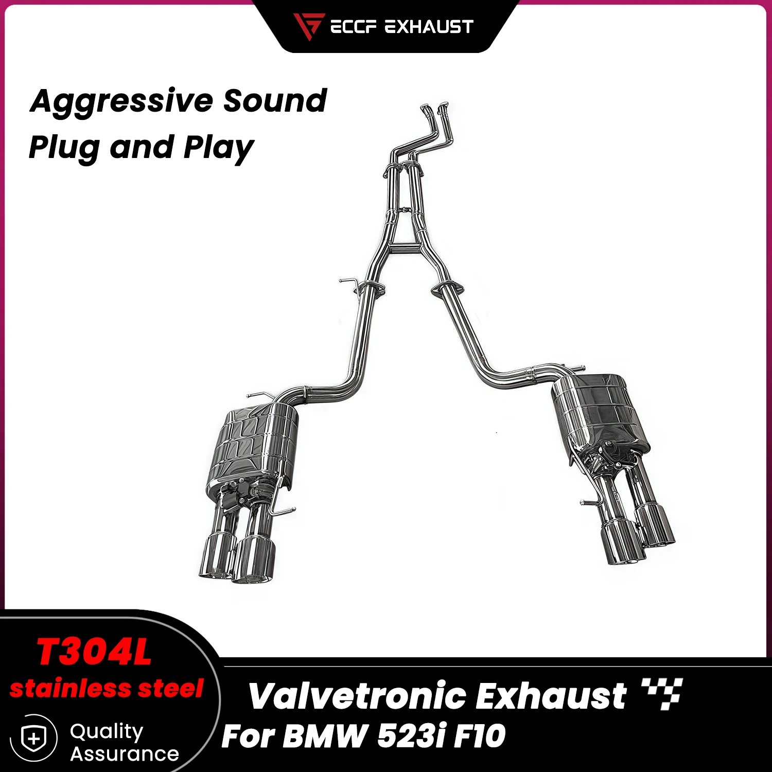 

Sporty Valvetronic Stainless Steel Catback Exhaust for BMW 523i F10 Freely Adjustable Sound Control Easy Installation