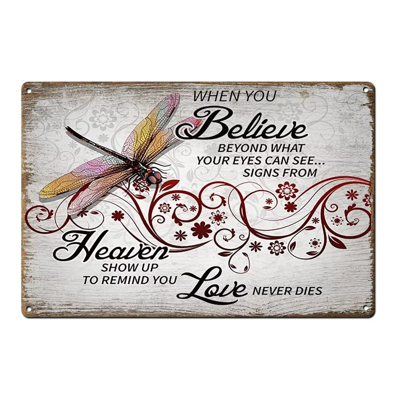 Alcermy Funny Retro Metal Tin Sign Dragonfly,When You Believe Beyond What Your Eyes Can See,Farmhouse Sign Decor Birthday Weddin