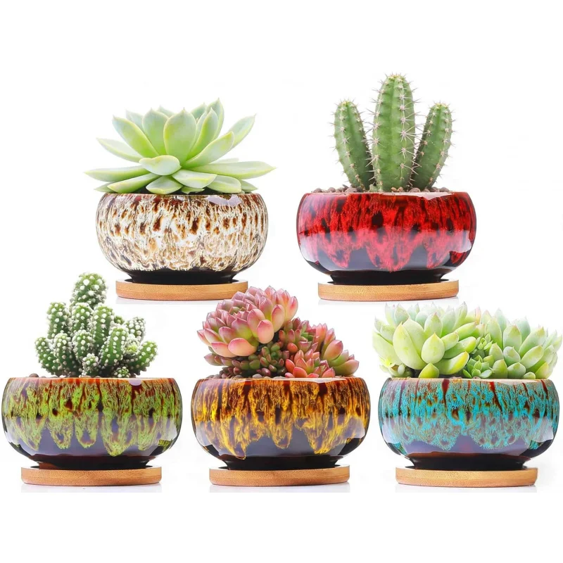 Ceramic Succulent Planter4Inch5Set with Tray Drainage Hole Round Simple Cute Potted Plant Container Does Not Include Plants