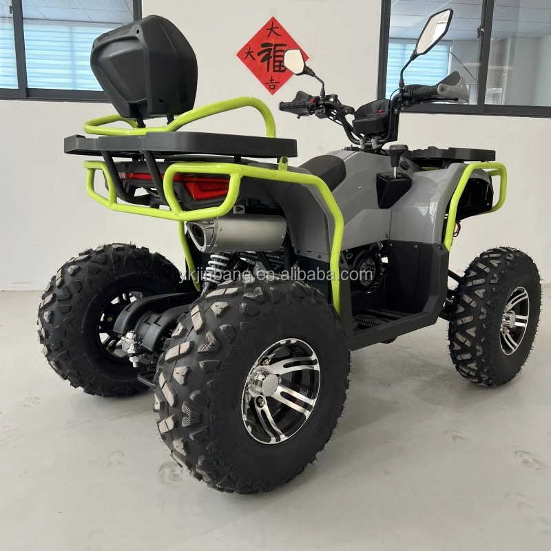 Adult 200cc ATV Quad Bike with Automatic Chain Drive Transmission CE Approved