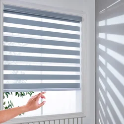 Cordless Day and Night Zebra Blinds Free-Stop Dual Layer Light Filtering Roller Windows Shades for Home and Office