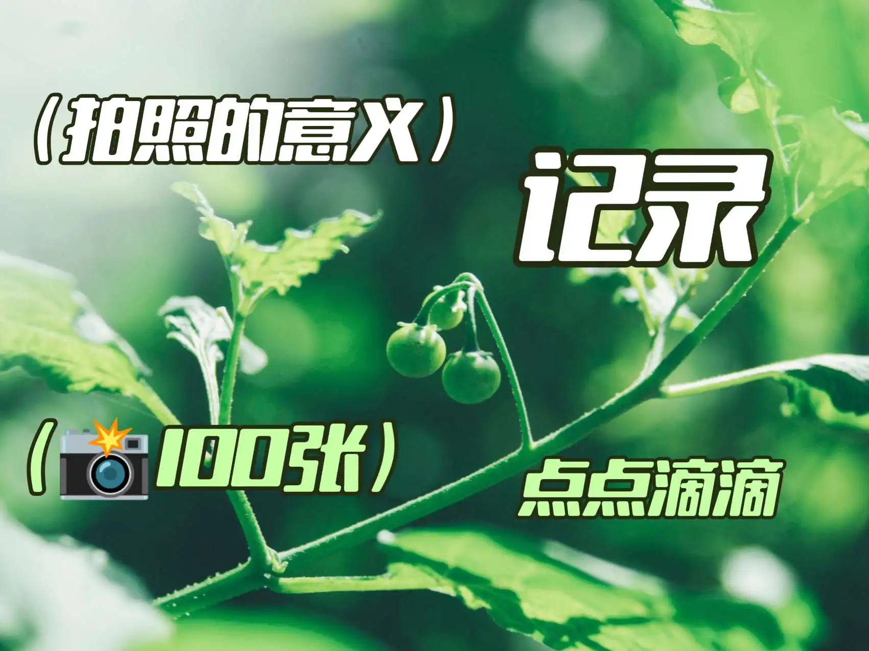 

Комплект из 4 резиновых шин 65 мм с металлическими дисками и шестигранным креплением 12 мм для радиоуправляемых моделей Wltoys 144001, 144010, 124007, 124016, 124019, A959, A959-B – запчасти для тюнинга