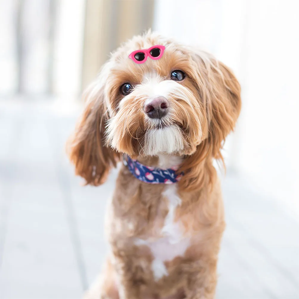 

15 Pcs Sunglasses Hair Clips Hairpin Dog Accessory Cosplay for Dogs Pet Cats and