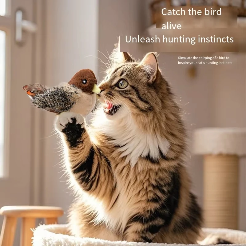 

Cat toys Simulated vocalizing sparrows and parrots To amuse cats and relieve their boredom Flapping-wing cat toys