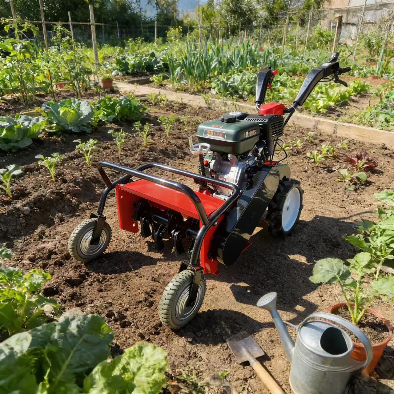 Professional Garden Mini Hand Push Lawn Mower Manual Grass Cutter for Small Garden Home Yard Orchard Mower