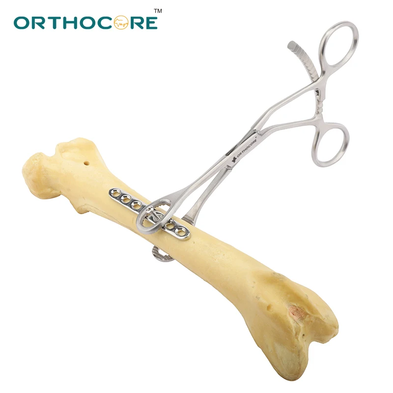 

Bone Holding Forceps Veterinary Orthopedic Supplie Orthopedic Surgical Instruments