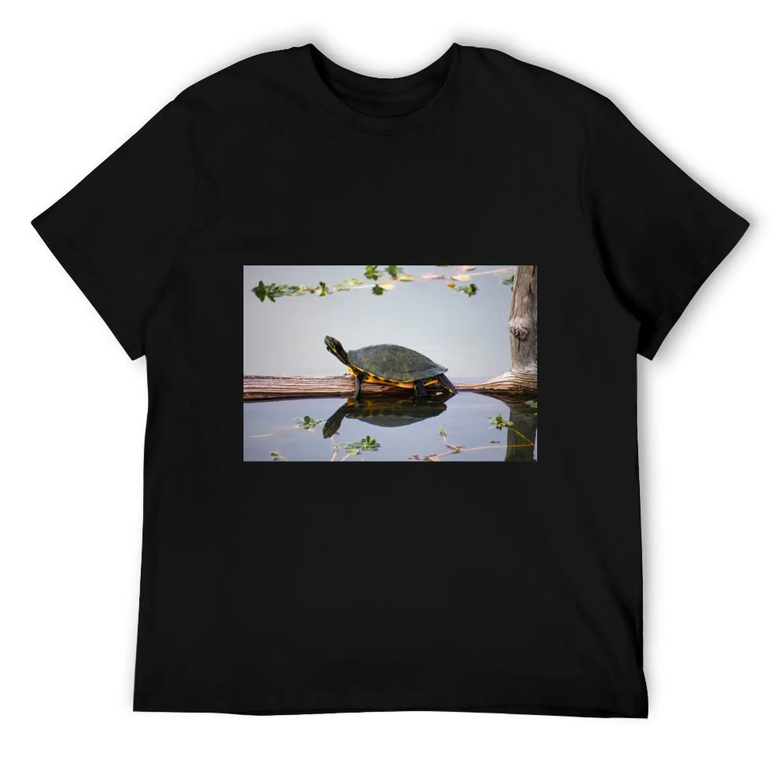 

Coastal Plain Cooter Turtle T-Shirt cotton t shirt man man t shirts graphic anime t shirts oversize T-Shirt
