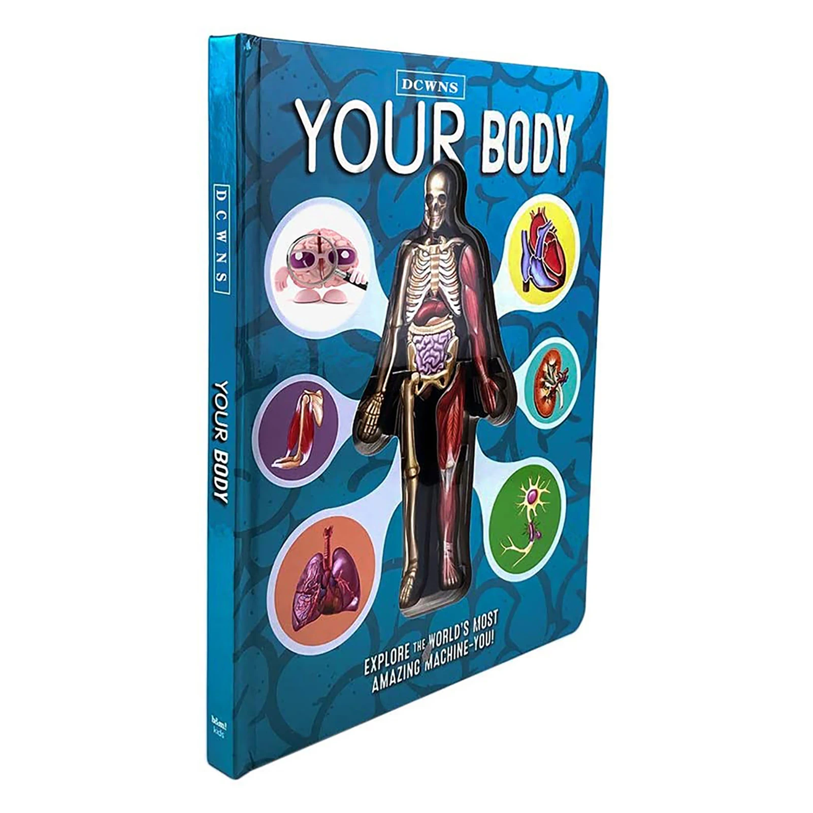 Medicals Book 3D Picture Human Body Structure Anatomy Science Children Early Education Books