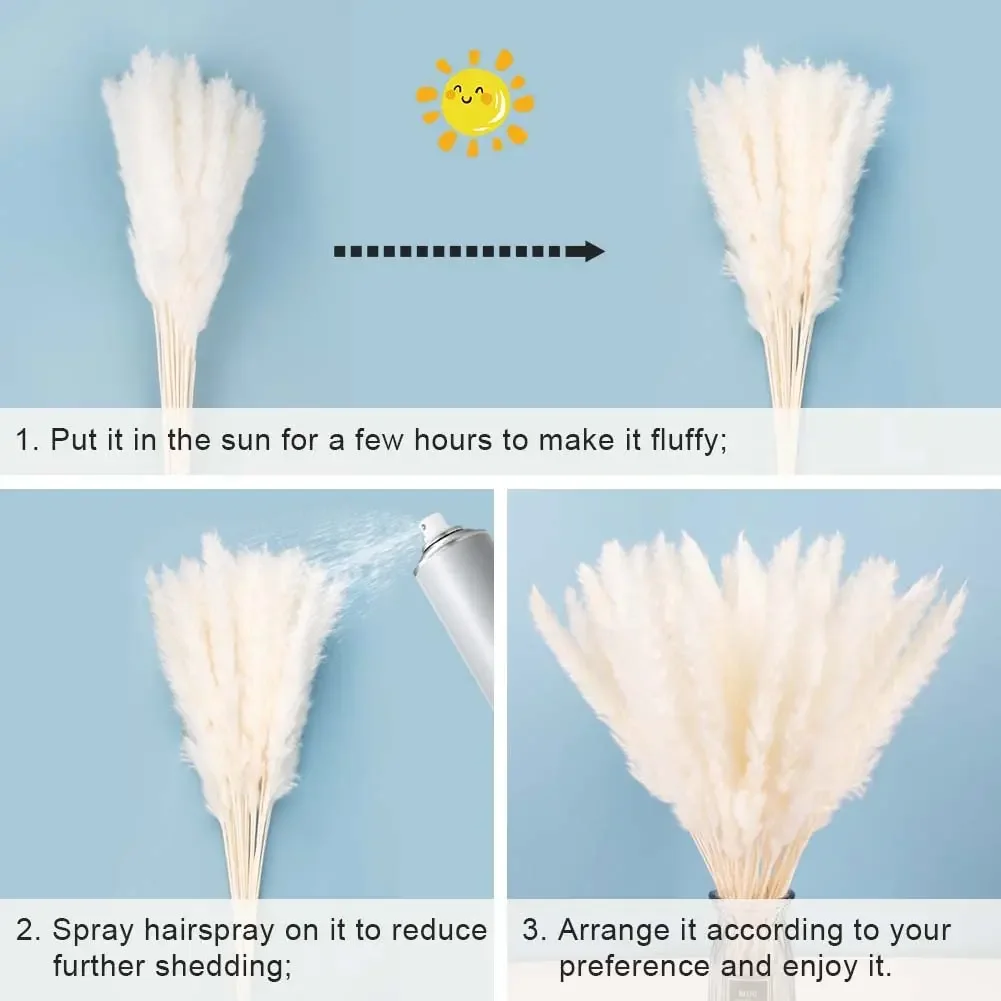 10 шт., пушистые трости для пампасной травы, комплект сушеных цветов, натуральные скандинавские композиции для украшения дома, свадебный реквизит для фотосъемки «сделай сам»