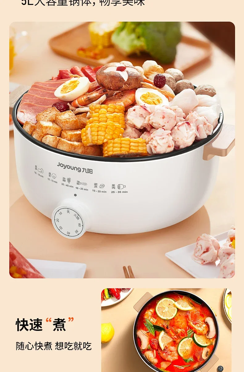 220V Multifunctional Electric Food Steamer with Large Capacity, Stainless Steel Electric Steamer Cooker for Home Use