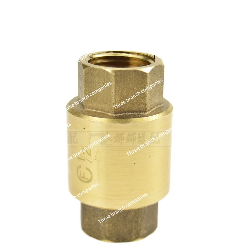 4 Points Check Valve Boiler Backwater Valve Steam Generator Water Pump Water Pipe Water Meter Check Valve Spring