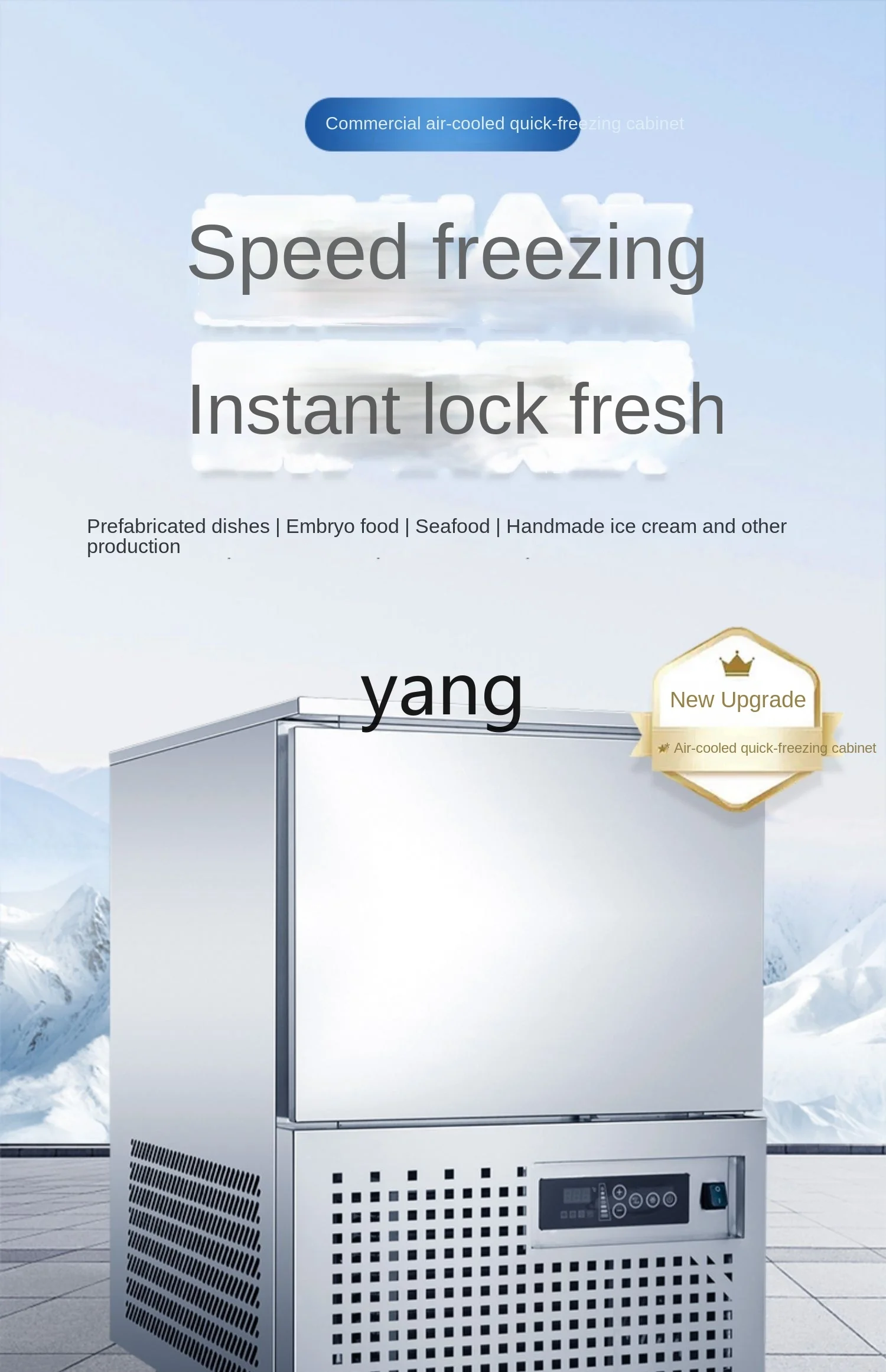 LMM Commercial Air-Cooled Four-Door Low-Temperature Freezer Steamed Stuffed Bun Quick-Freezing Plug-in Disc Refrigerator