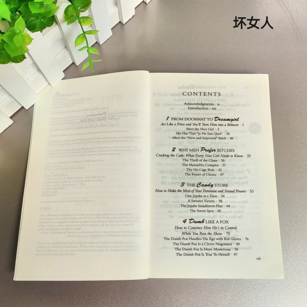 Bad Women, Someone Loves English Version Creative Modern Literature Novel