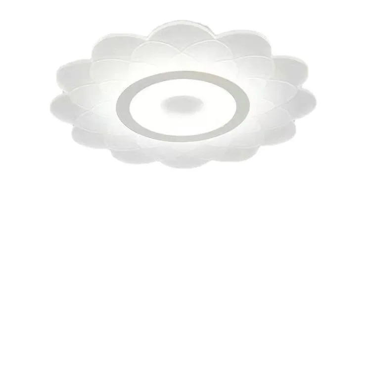 

Modern and simple flower shape, living room, bedroom, study ceiling light, mass ceiling remote control
