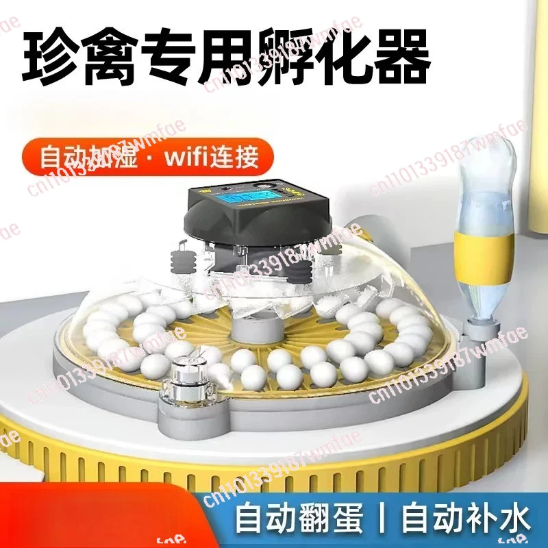 Home Use 122 Eggs Canary Ruddy Chicken Incubator Automatic Dual Power Supply Intelligent Breeding Incubator Egg Hatching Box