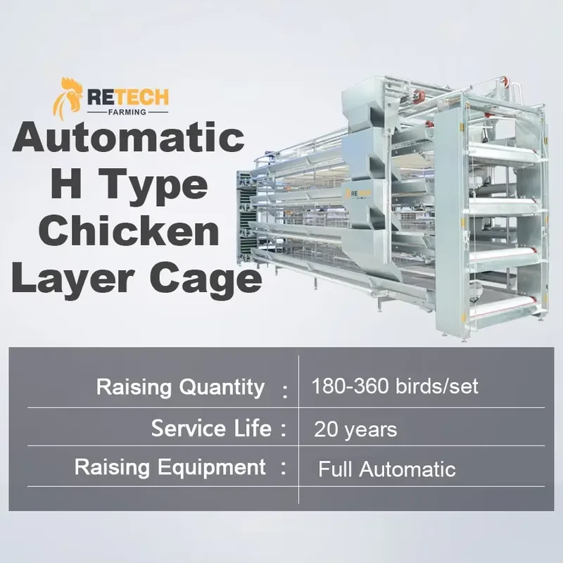 Automatic H Type Galvanized Battery Chicken Cages for Poultry Laying Hens Layer Cages