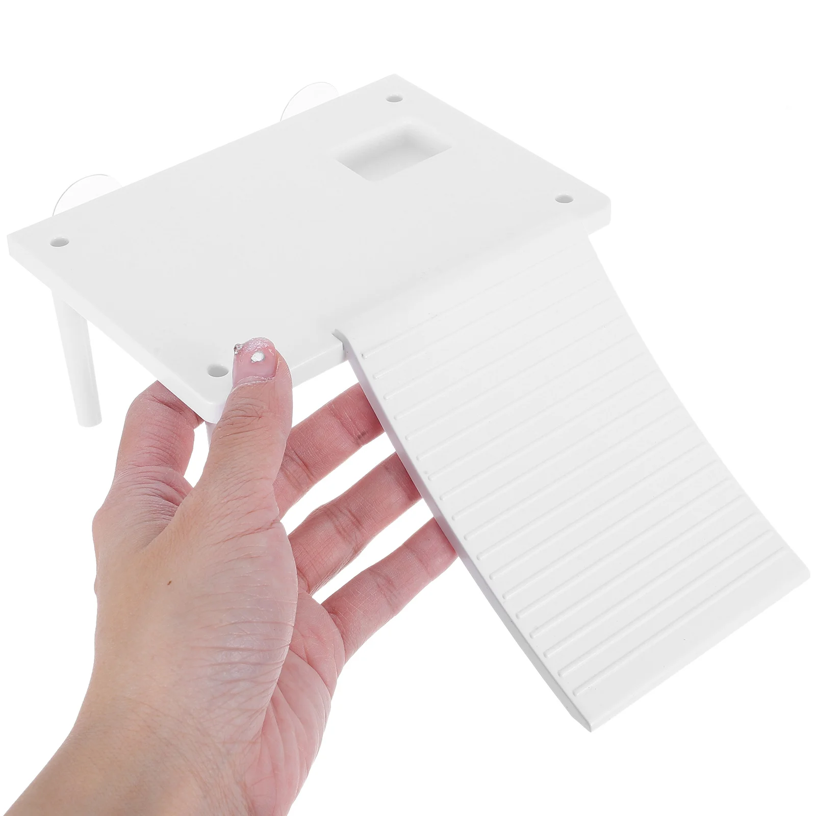 Turtle Basking Platform Climbing Ramp Multifunctional Aquatic Terrarium Decor For Reptiles Frogs Habitat Dock Shelter Landscape