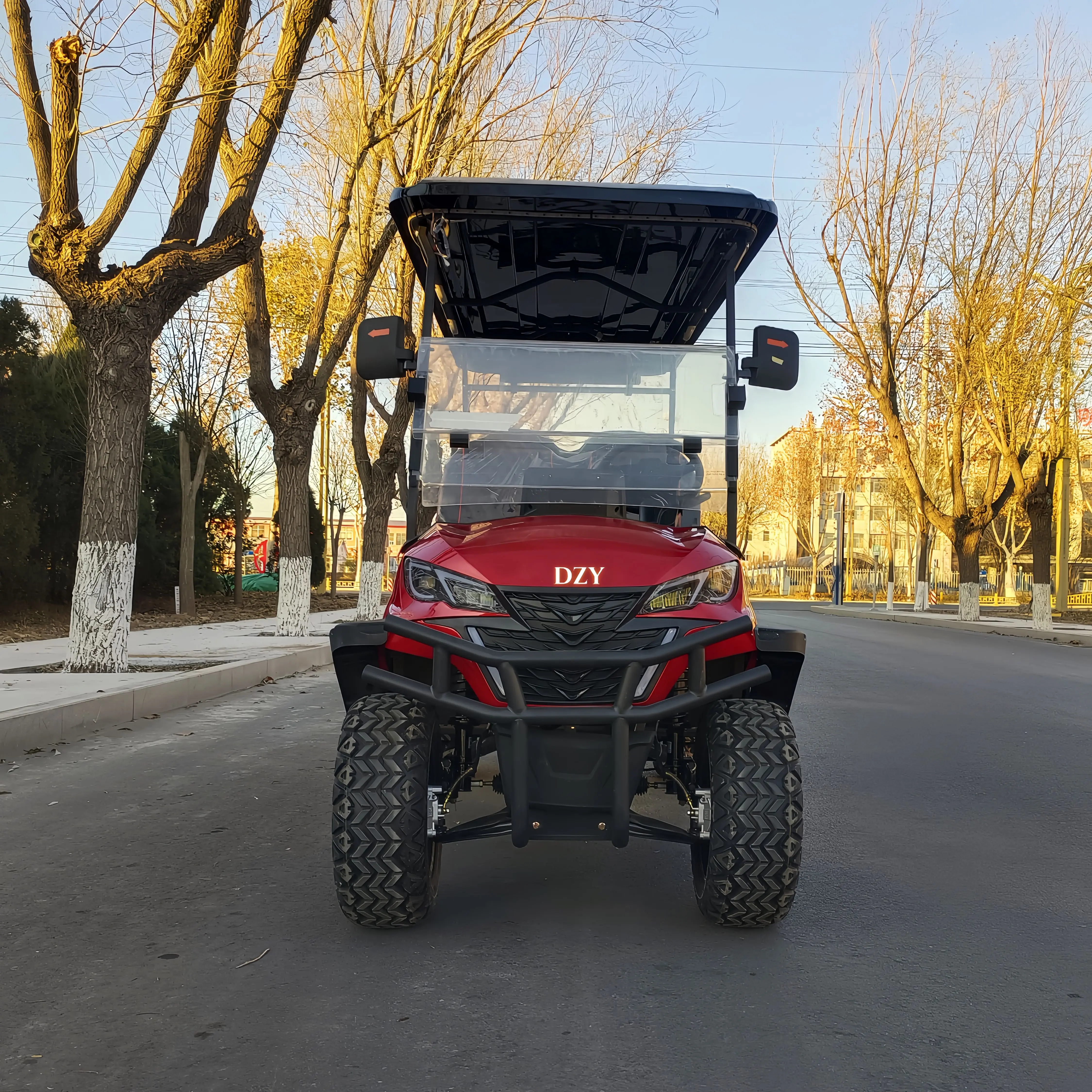 تصدير الشارع القانوني 4/6 مقاعد عربات الغولف الكهربائية، نوادي الغولف، السيارات، عربات الصيد، بالجملة #4