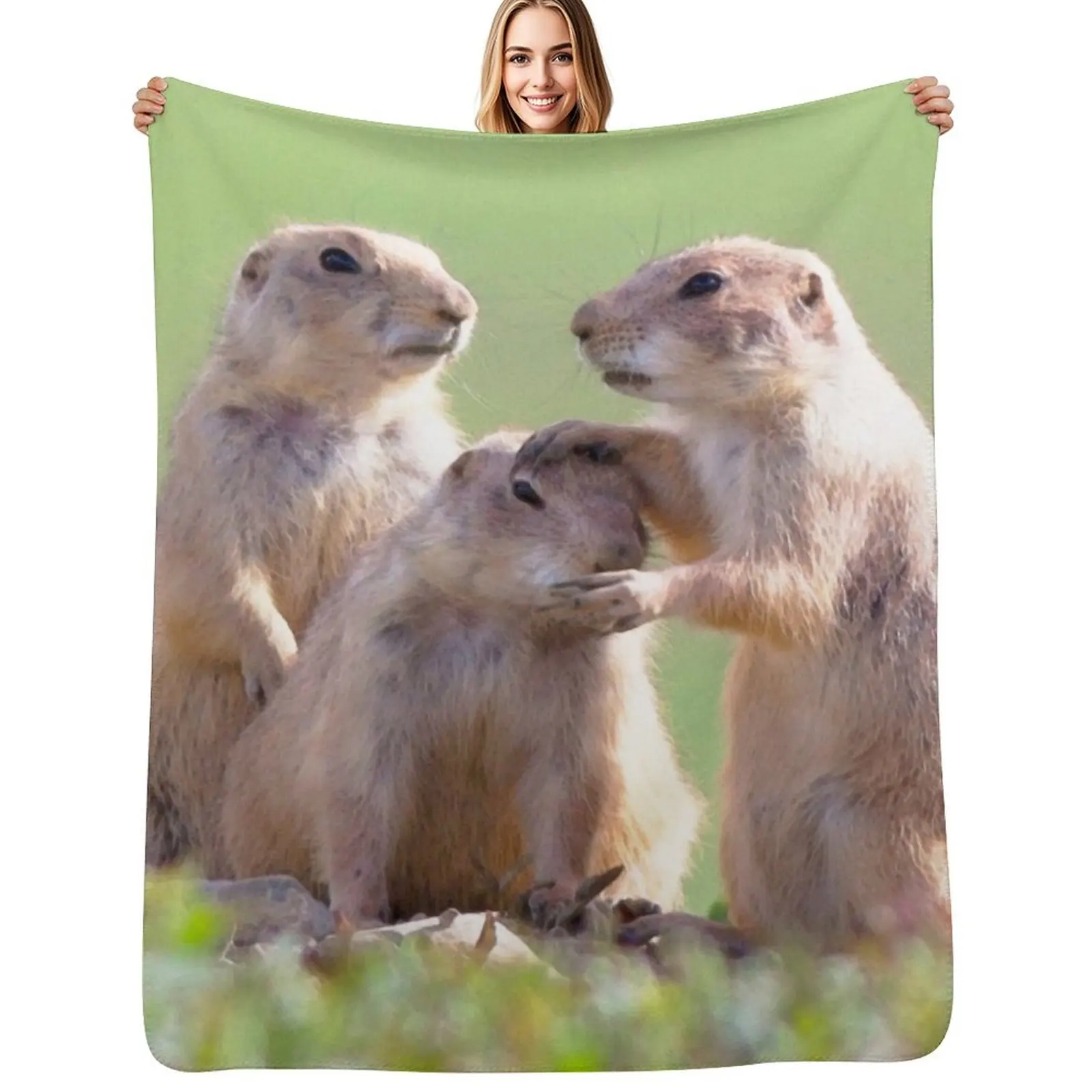 

Watercolor Prarie Dog 08, Boulder County, Colorado, Good Job Throw Blanket Cozy Sofa Blanket for TV Watching Napping