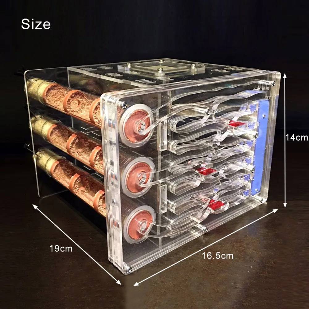 DIY Acrylic Ecological Bamboo Tube Ant Farm Ant Nest 3 Tubes with Feeding area Ant House Workshop Pet Anthill 19*16.4*14cm