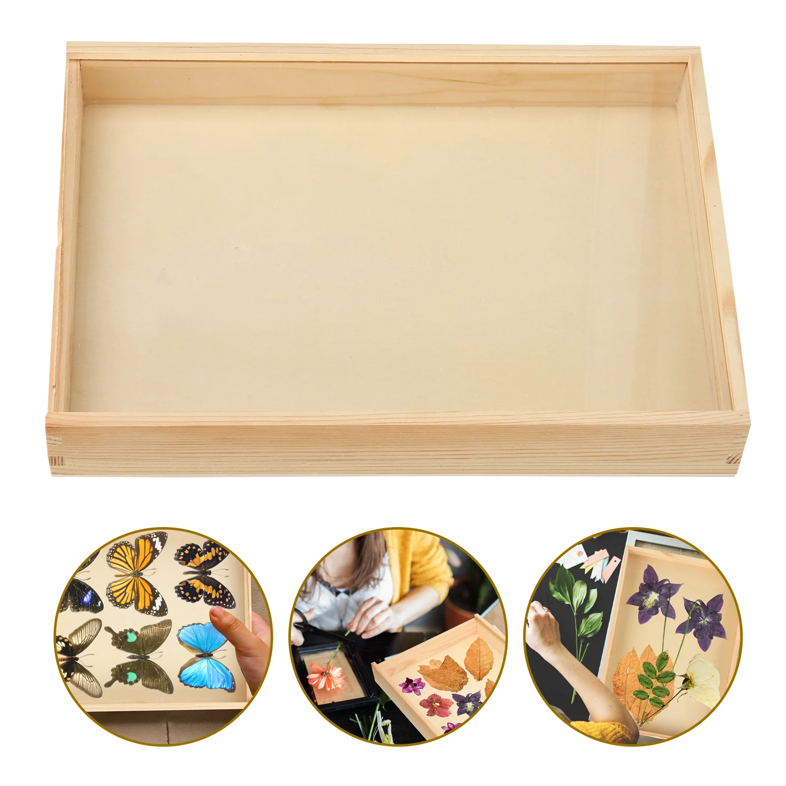 

Retro Specimen Display Box Shadow Wooden Case Premium Quality Large Space Dried Flower Butterflies Collection Display Case