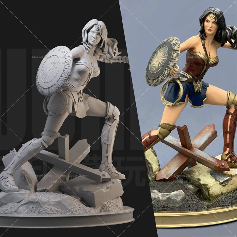 1/24 1/18 Scale DC Wonder Woman Diana Perfect Feminism Image Universe Guardian DIY Self-assembled GK 3D Resin Un-panited Dolls