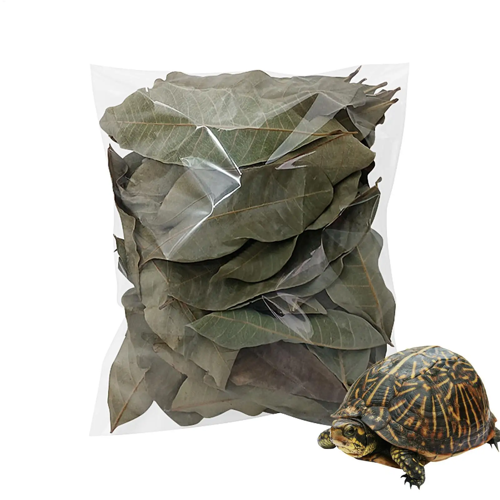 50 Stück Reptilienblätter, natürliche Haustierzubehör, Aquarium-Longanblätter-Streu für Geckos, Frösche, Schlangen, Garnelen, Schildkröten, Eidechsen – Detail 2