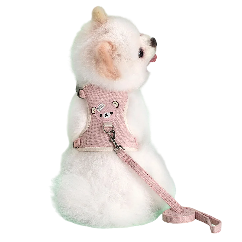 Simpatico set di guinzagli per animali domestici per cani di piccola taglia media Gatto che cammina Piombo Chihuahua Bunny Gilet Imbracatura Collare