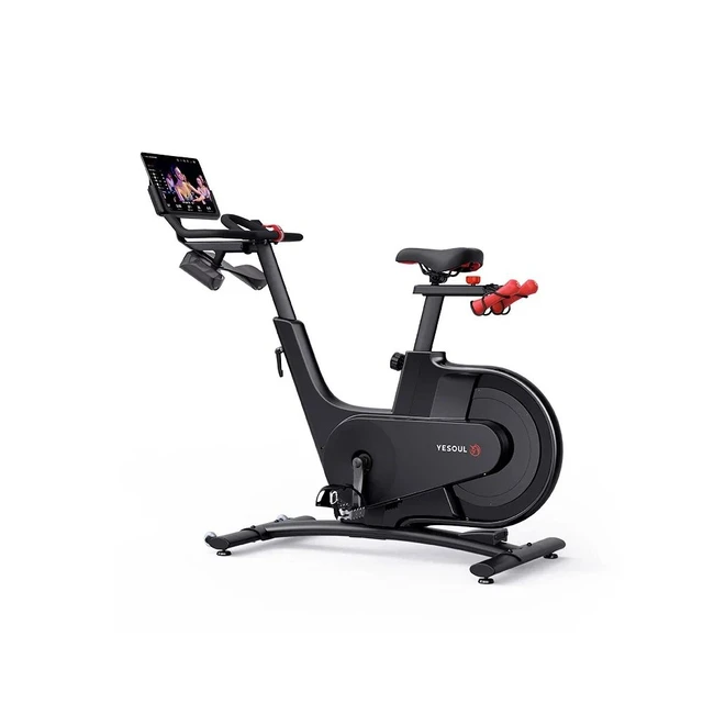 Smart workout and leisure bike sale