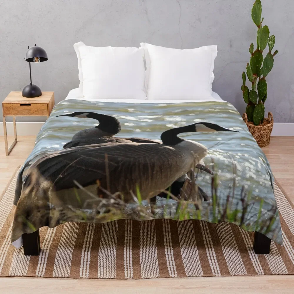 

Pair of Canada Geese Throw Blanket Flannels Luxury Designer Blankets Blankets Sofas Of Decoration Soft Single Blankets