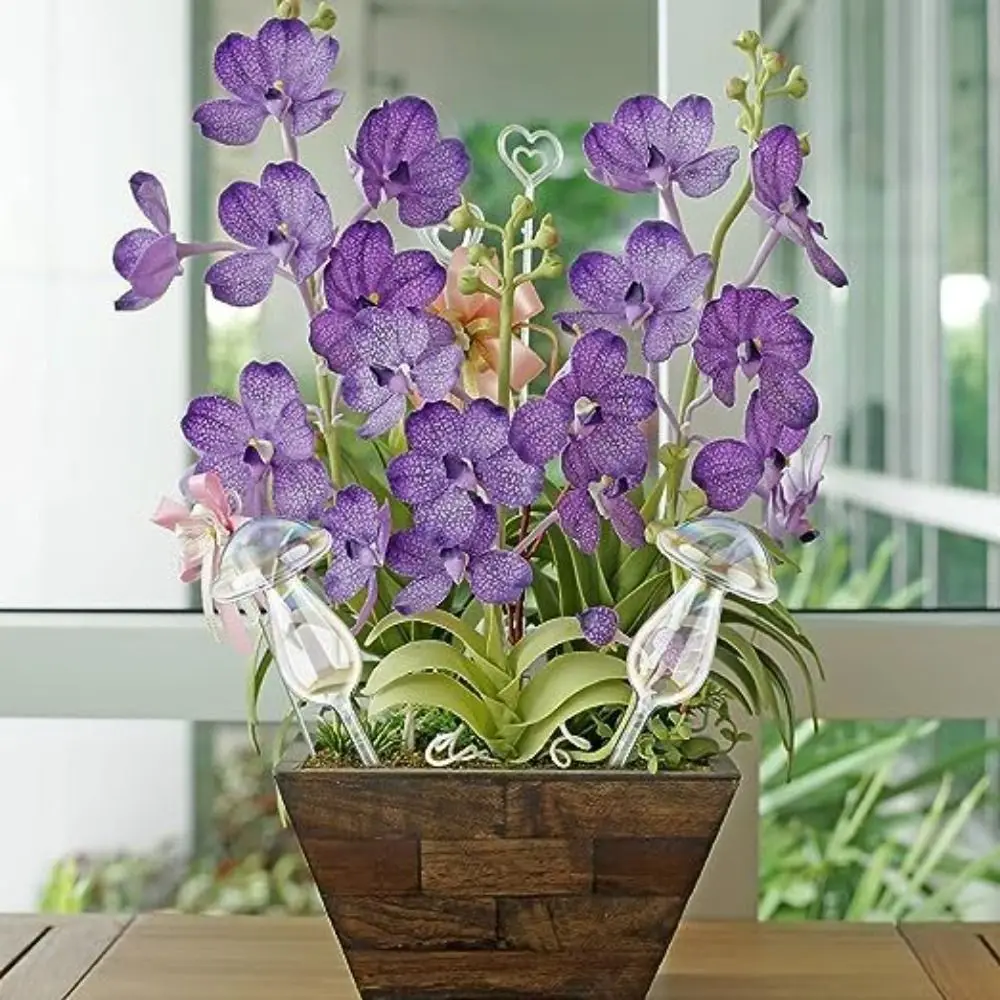 Mushroom Shape Plant Watering Glass Globes Glass Self Watering Mushroom Automatic Watering Device Rainbow