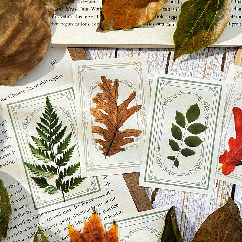 Journamm 30pcs/pack PET Decor Stickers Autumn Leaf DIY Scrapbooking Planner Collage Diary Supplies Aesthetics Sticker Stationery