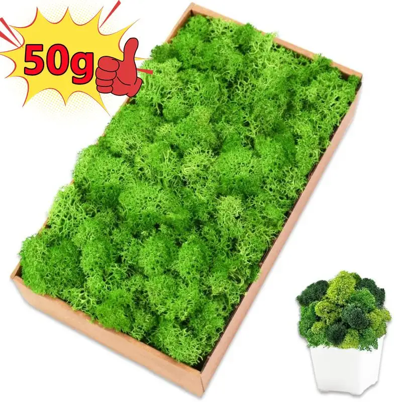 New 50/30/10g Artificial Green Plants Eternal Life Moss Grass Home Garden Decoration Mini Landscape Fake Flower DIY Crafts Gifts