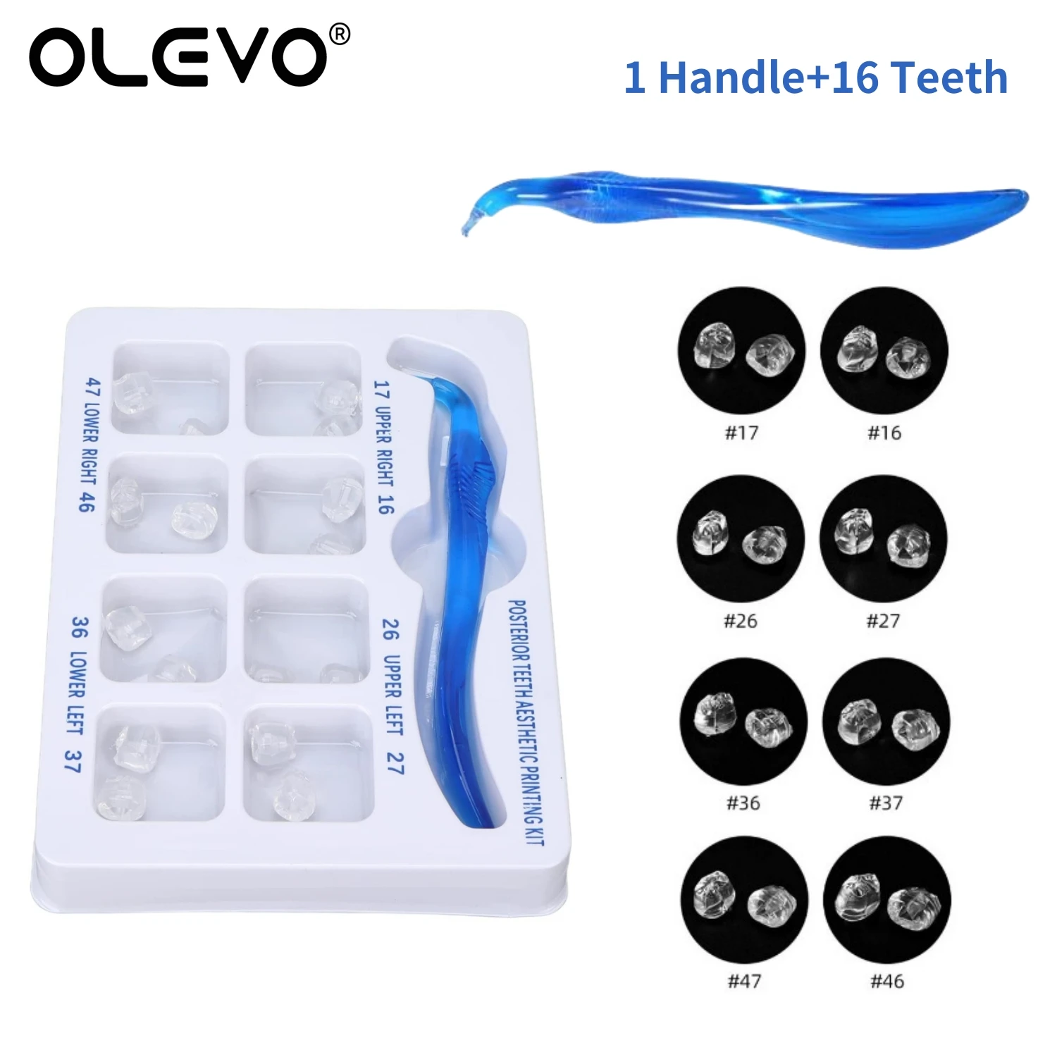 Dental Posterior Teeth Aesthetic Printing Mould Kit For Light Cure Composite Restoration Filling Tools Dentistry Reshape Stamp