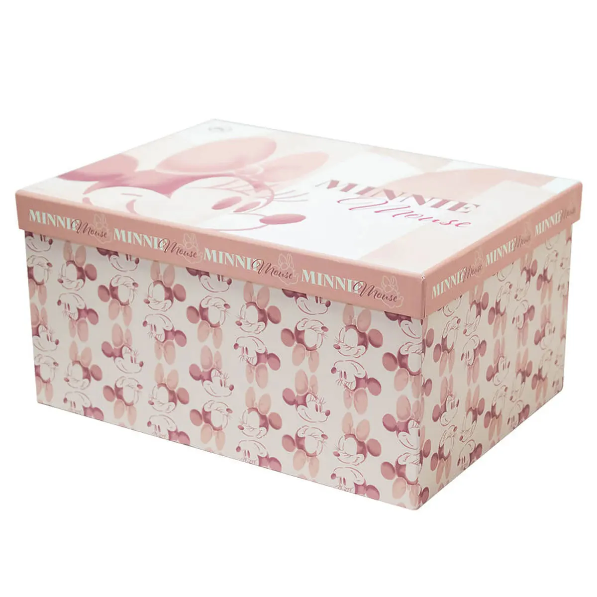 Minnie DAC Organizer Box