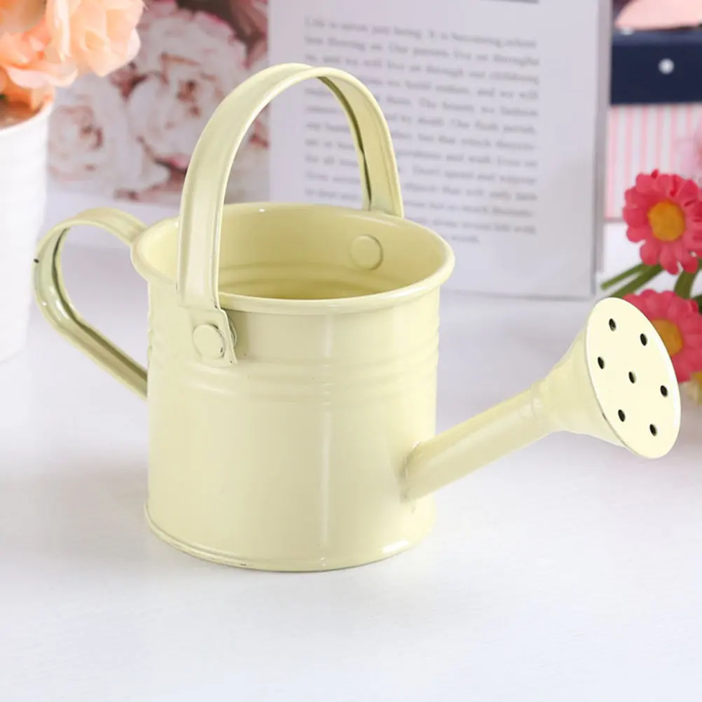 3Pcs Small Watering Cans Cartoon Plant Mister Gardening Indoor Outdoor Plants Waterer for