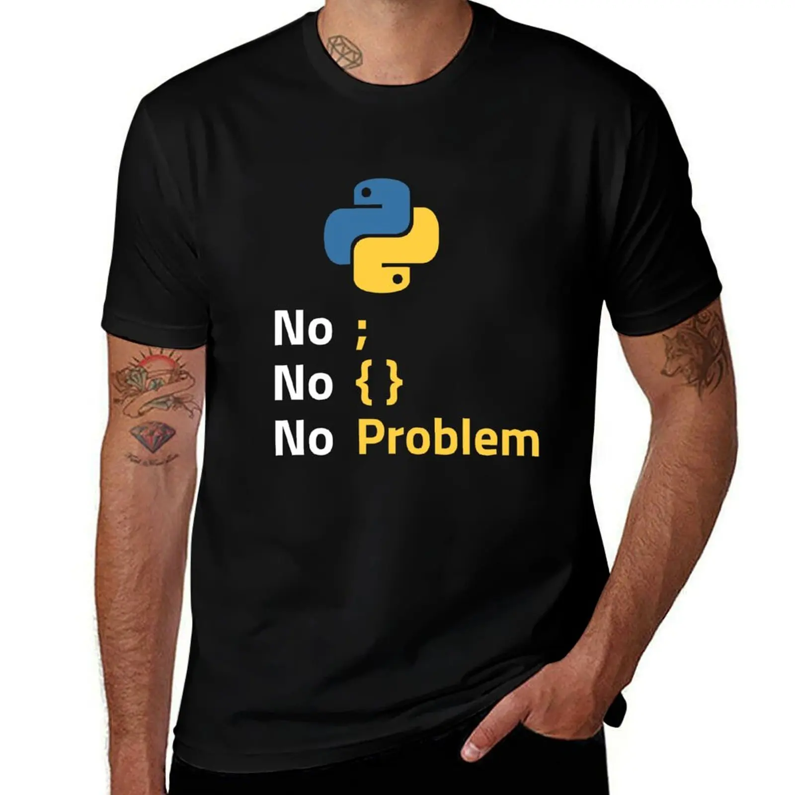 Python Programmer No Problem T-Shirt Big Size Simple T-Shirt
