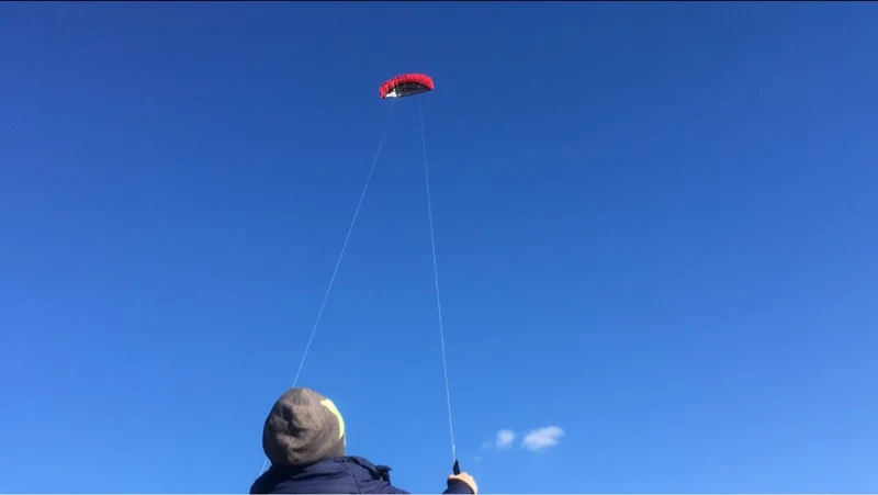 Gratis Verzending 250Cm Dubbele Lijn Stunt Macht Vliegers Vliegen Speelgoed Voor Kinderen Kite Surf Beach Vliegers Professionele Wind Vliegers factory Sport