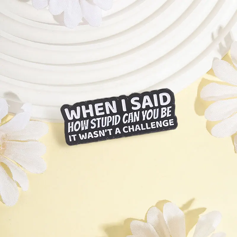 When I Said How Stupid Can You Be It Was Not A Challenge Enamel Pin Humor Sarcastic Adults Quotes Brooch Jewelry Bag Lapel Badge