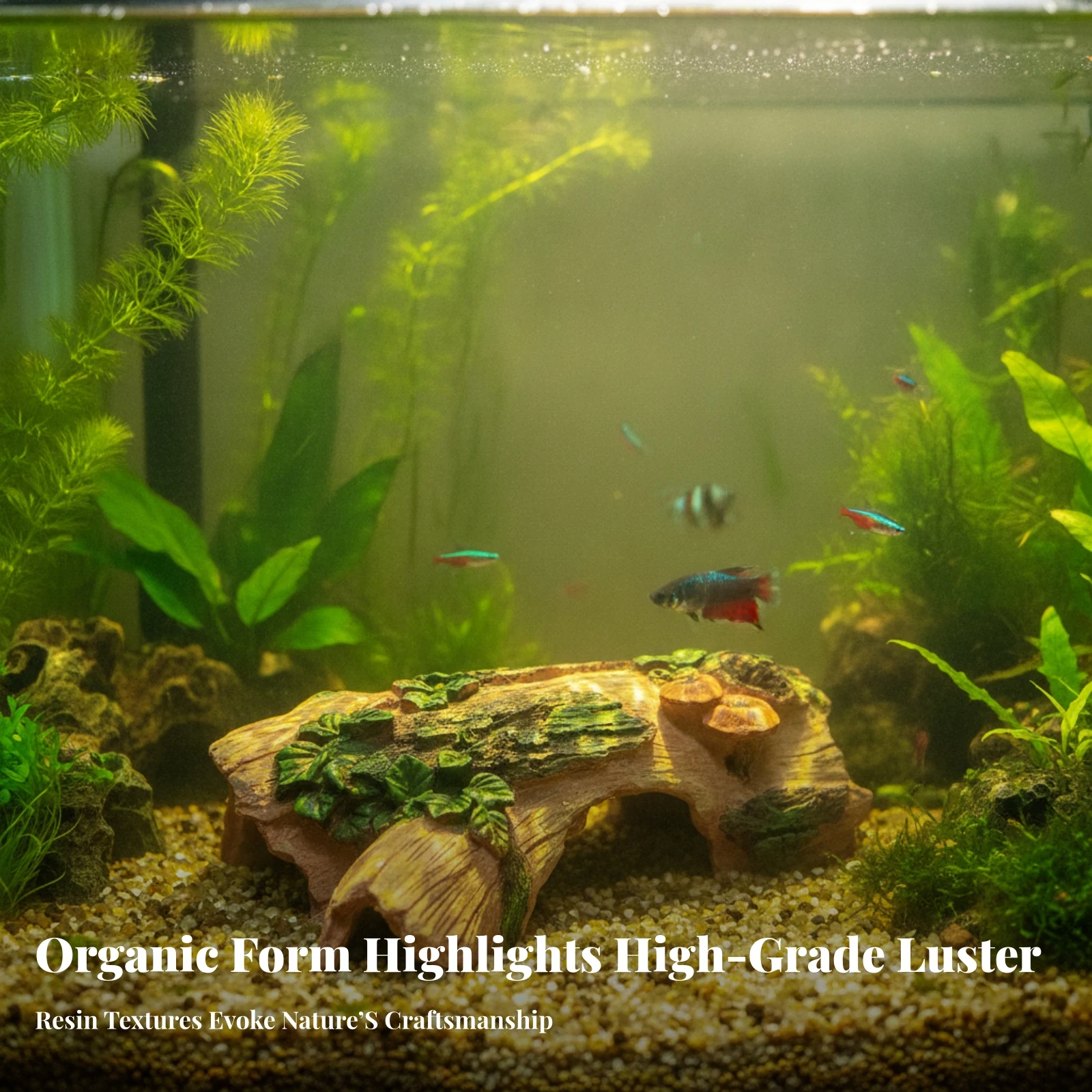 Holle boomstammtunnel, natuurl - Aquarium Moss recensie en prijs