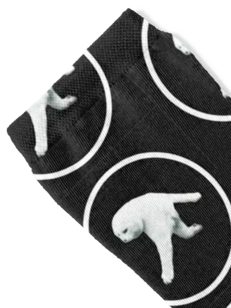 Aphex Twin Cat two-legged cat meme parody Socks winter thermal shoes aesthetic Women's Socks Men's