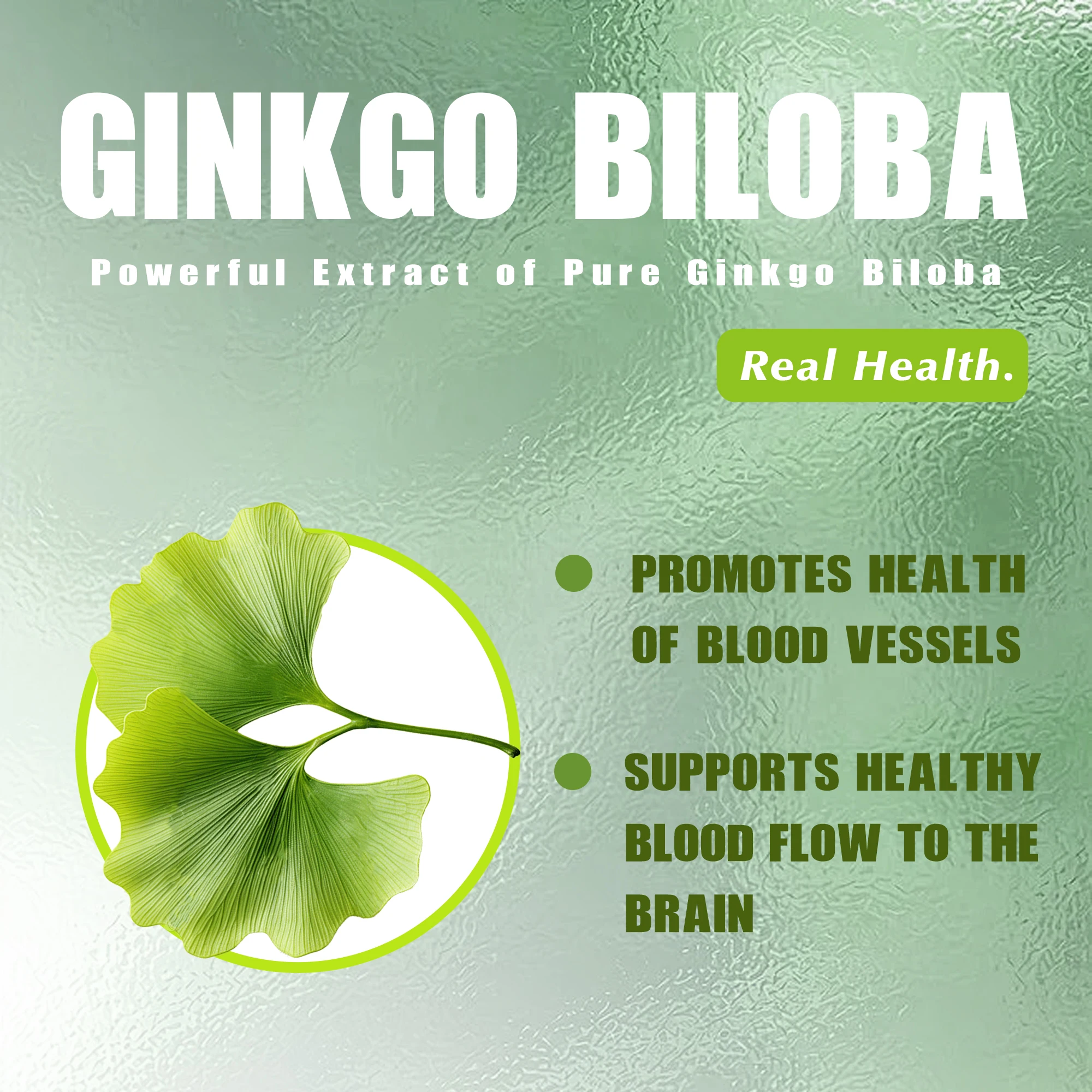 Ginkgo Biloba - Promotes Brain Health, for Memory, Energy & Circulation