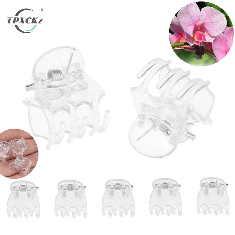 

50Pcs/set Transparent 6 Claws Orchid Clips Plastic Butterfly Flowers Support Clear Fixer For Garden Vine Stem Plants Climbing